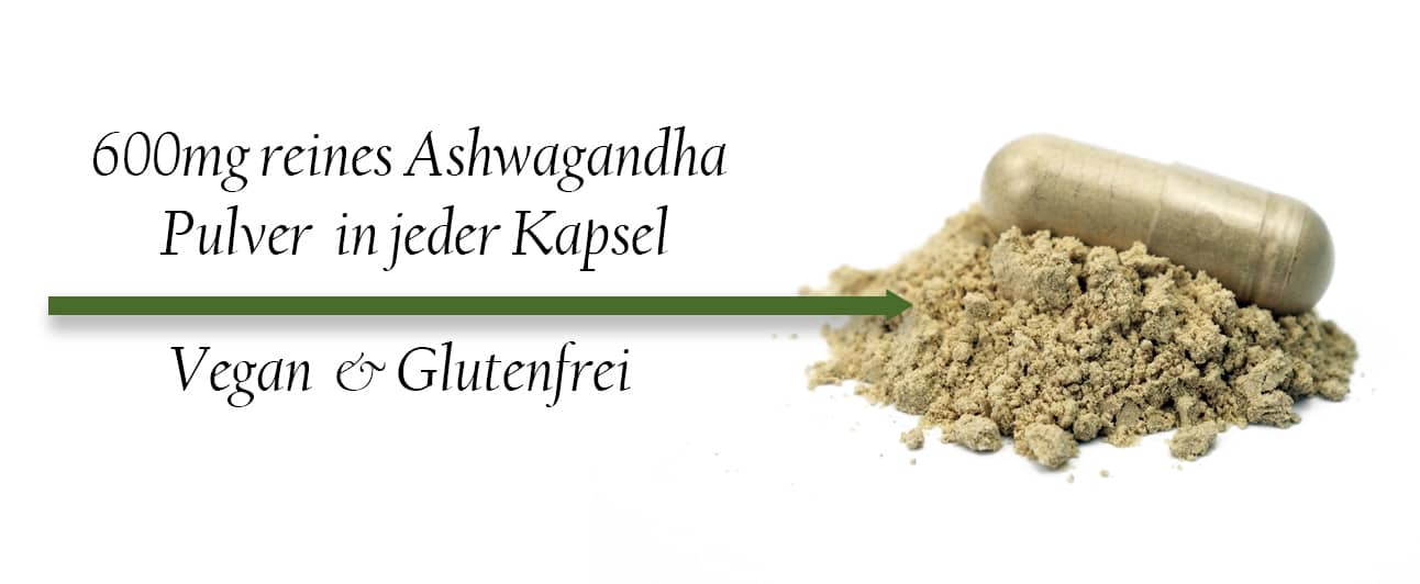 600mg BIO Ashwagandha Pulver in jeder Kapsel