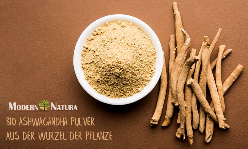 Ashwagandha Wurzel und Wurzelpulver