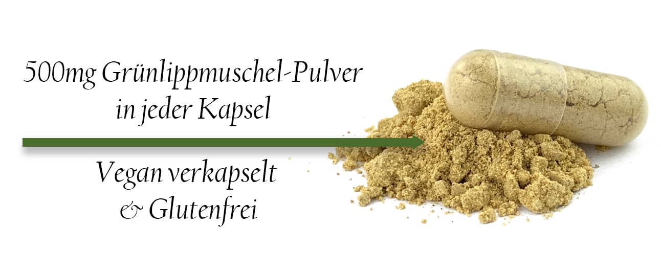 500mg Grünlippmuschel-Pulver in jeder Kapsel