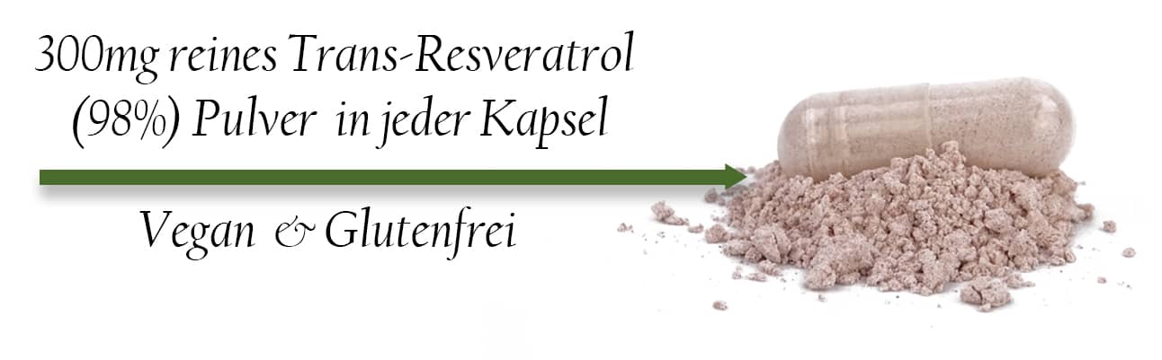 300mg Trans-Resveratrol Pulver