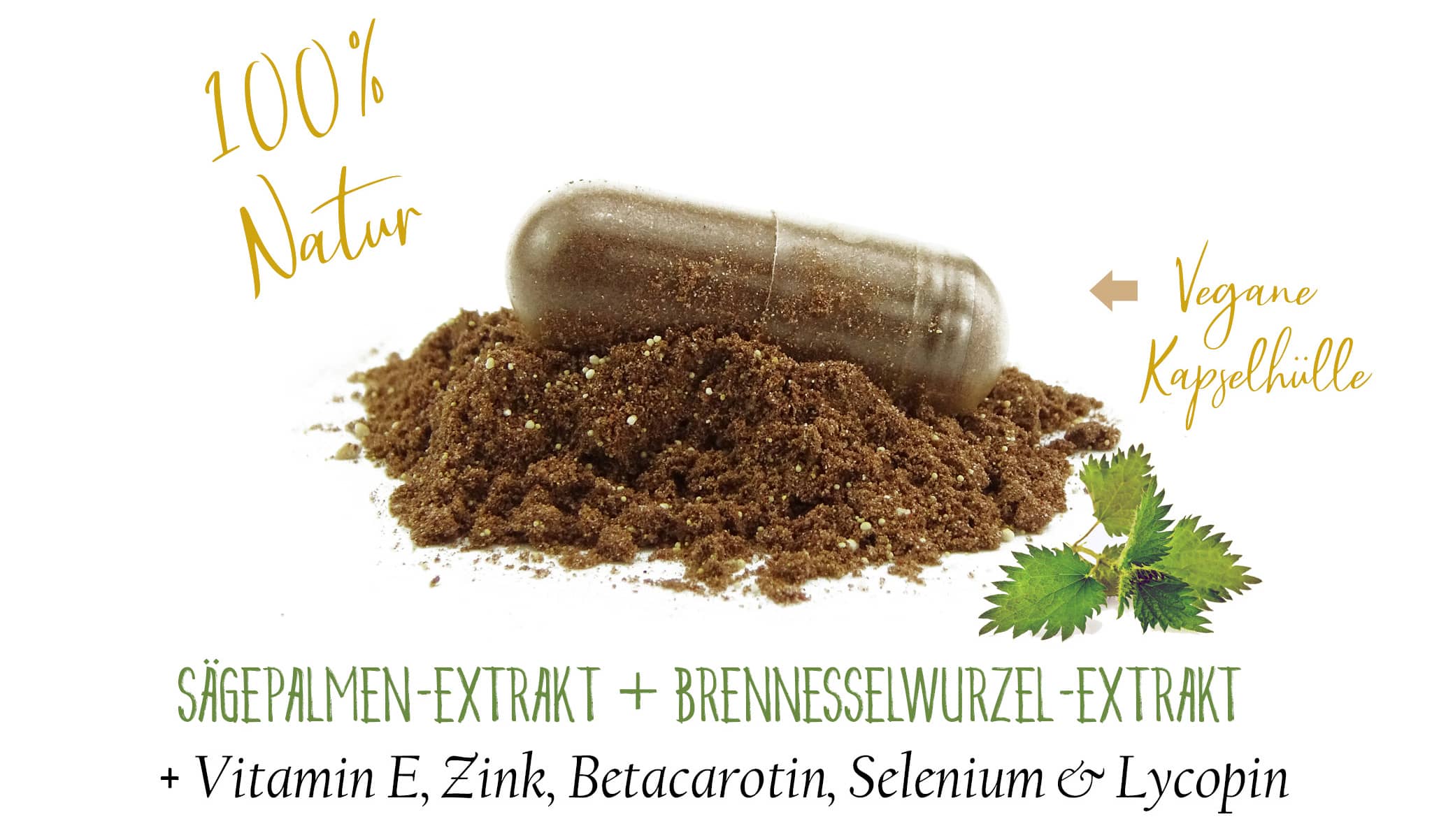 Tanit Men Active Kapsel Inhaltsstoffe - Natur pur