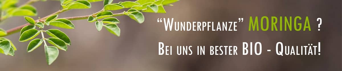 Moringa - BIO Qualität