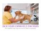 Preview: Anti Stress Hunde Tabletten (340 Stück)