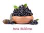 Preview: BIO Aronia Kapseln - Vegan & Glutenfrei - 500mg reinstes Aroniabeeren Pulver (90 Kapseln)