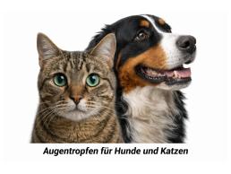 Preview: Augentropfen für Hunde & Katzen (10 ml)