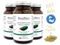 Preview: Grünlippmuschel Kapseln 500mg (3x 170 Kapseln Vorteilspack, Vegan verkapselt & Glutenfrei)