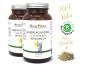 Preview: BIO Ashwagandha Doppelpack (2x 120 Kapseln) Vegan & Glutenfrei - Mit reinem Ashwagandha Pulver