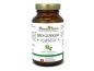Preview: BIO Ginkgo Biloba Kapseln Einzelglas mit 240 Kapseln - Vegan & Glutenfrei
