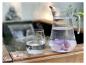 Preview: Wassersteine / Dekosteine Grundmischung mit Amethyst + Bergkristall + Rosenquarz (ca. 0,5 kg)  100% Natursteine