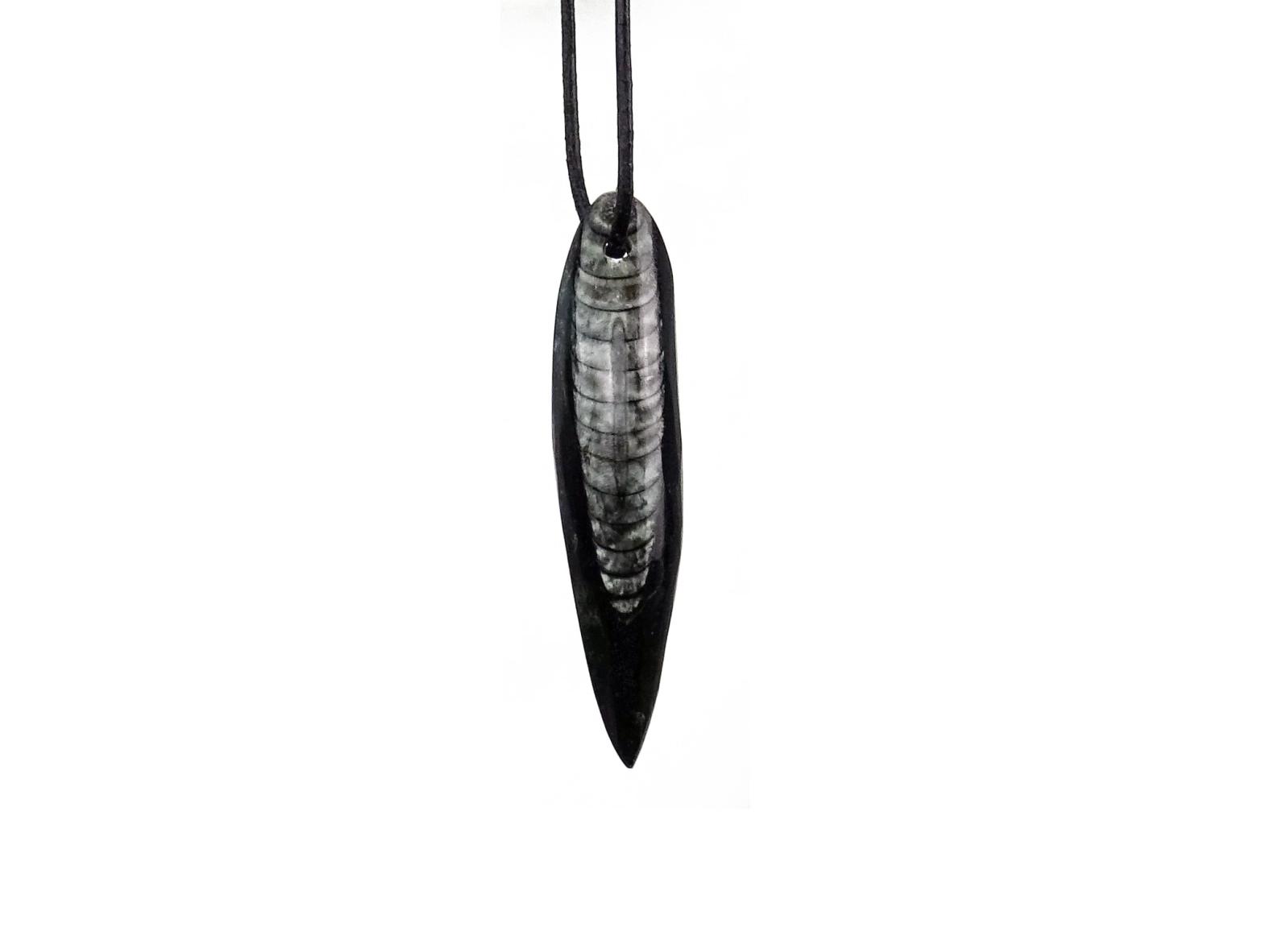 Edler alter Orthocerat