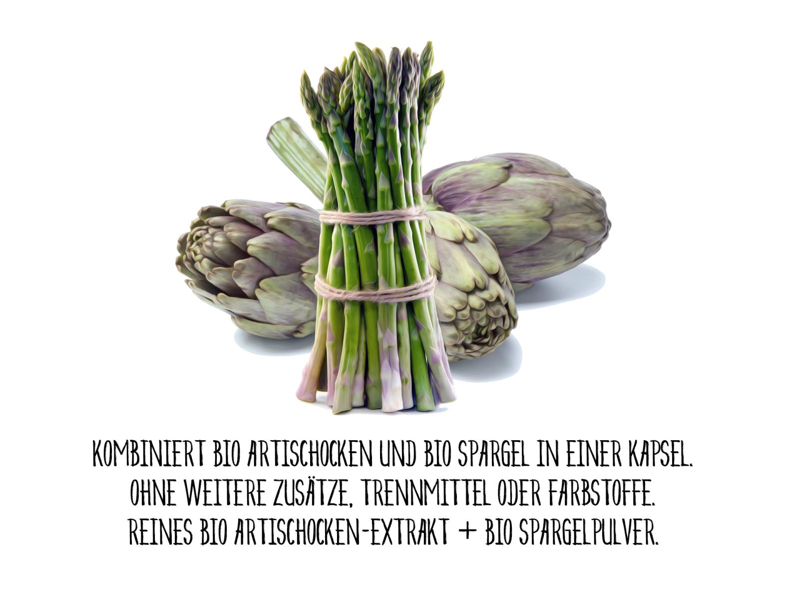 BIO Artischocken Extrakt Kapseln - Vegan & Glutenfrei - 90 Kapseln im Glas