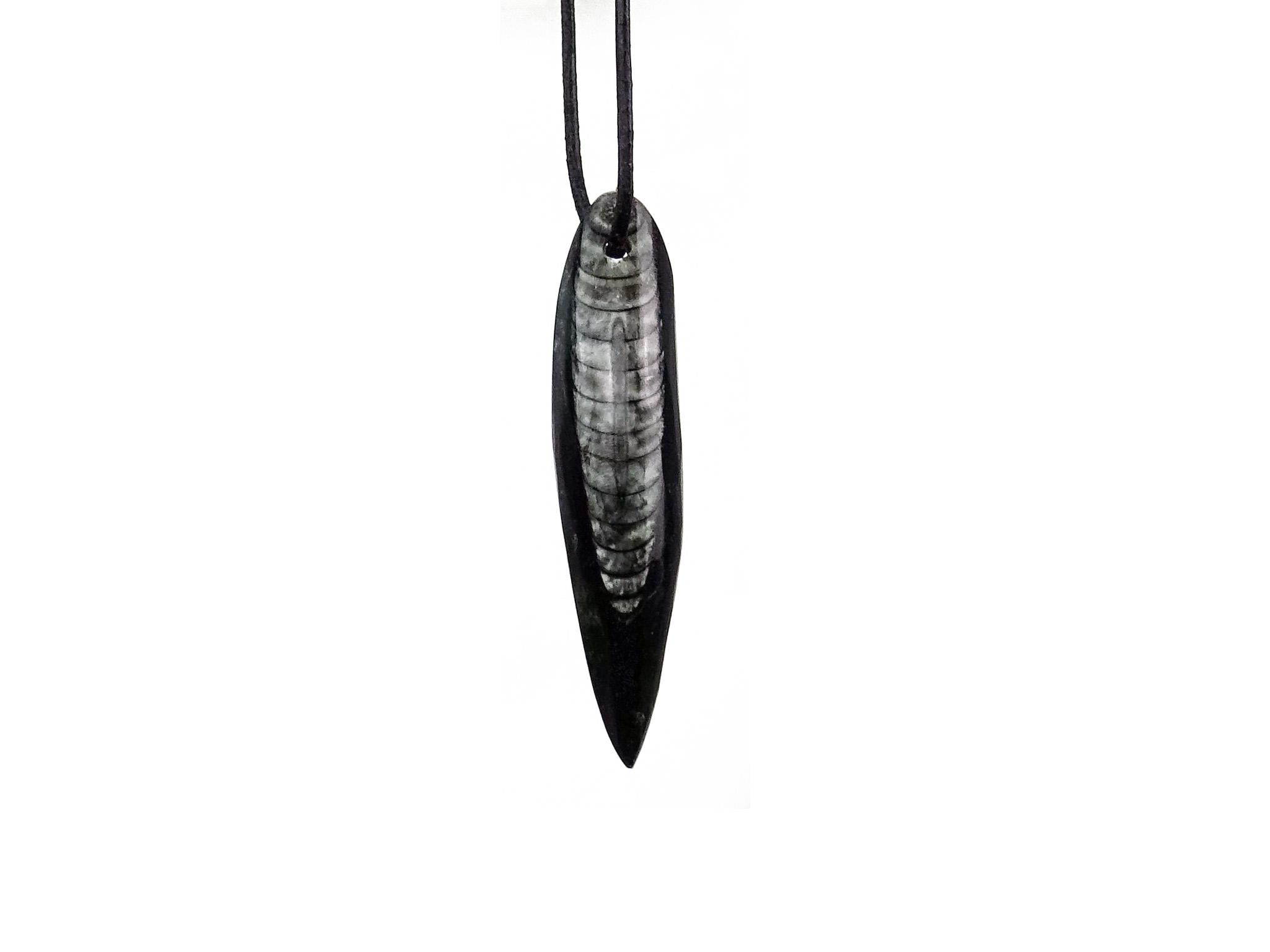 Edler alter Orthocerat