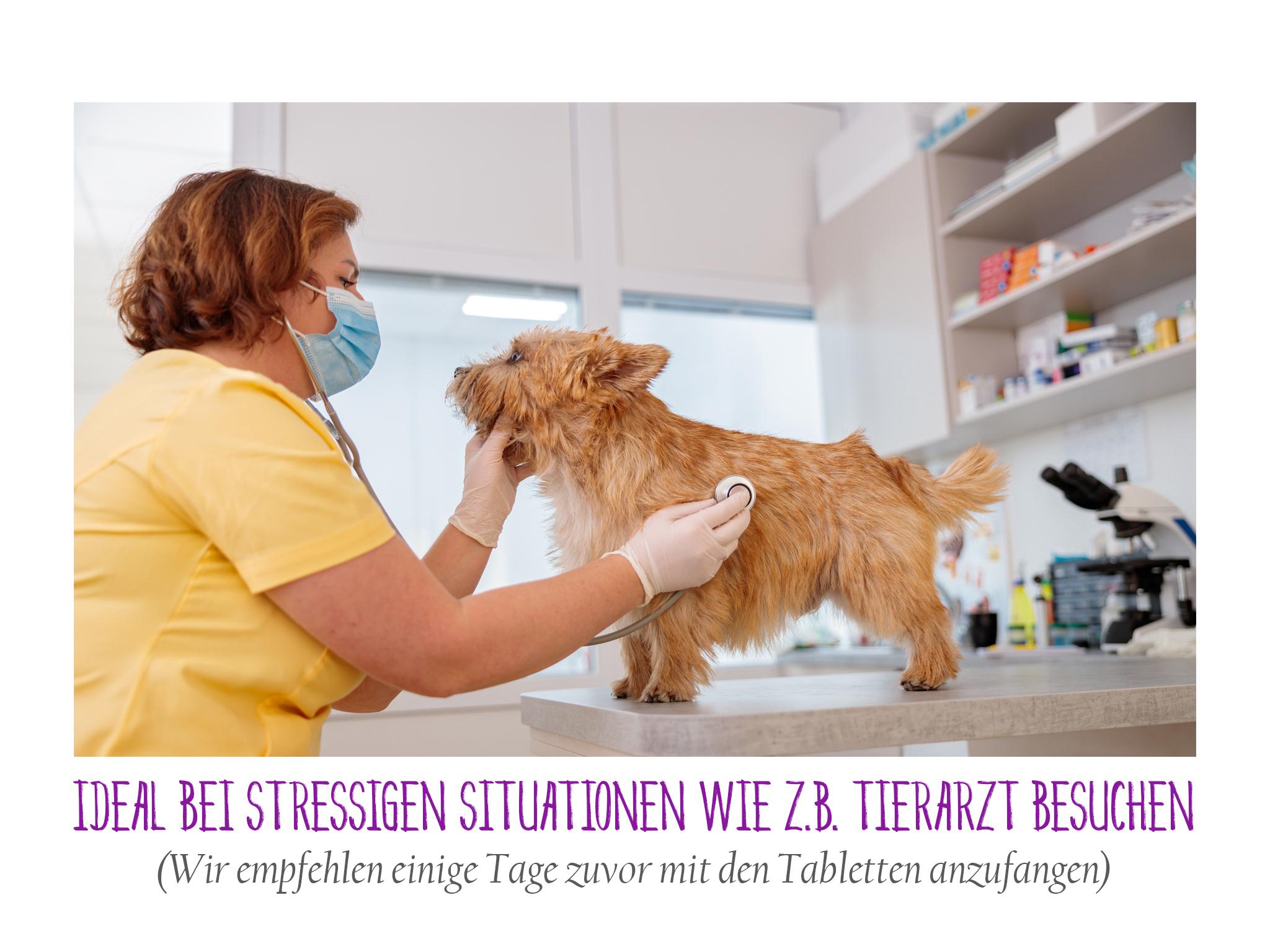 Anti Stress Hunde Tabletten (340 Stück)