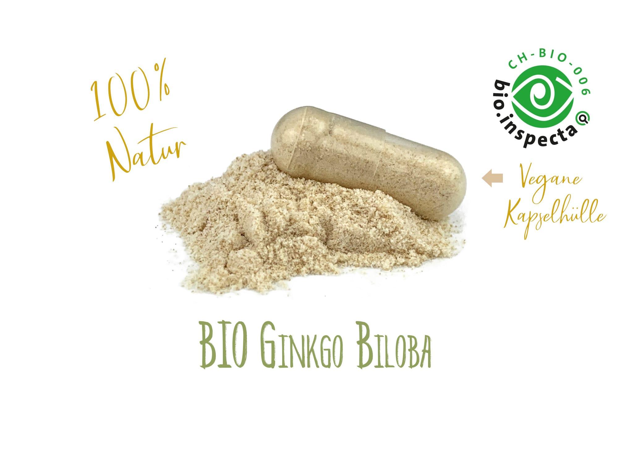 BIO Ginkgo Biloba Kapseln Einzelglas mit 240 Kapseln - Vegan & Glutenfrei