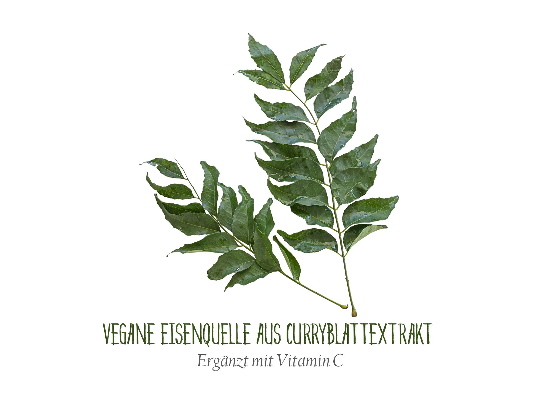 Eisenquelle Kapseln - Ihre Eisen "Tagesdosis" 21mg Kapseln (90 Stück) - Vegan & Glutenfrei