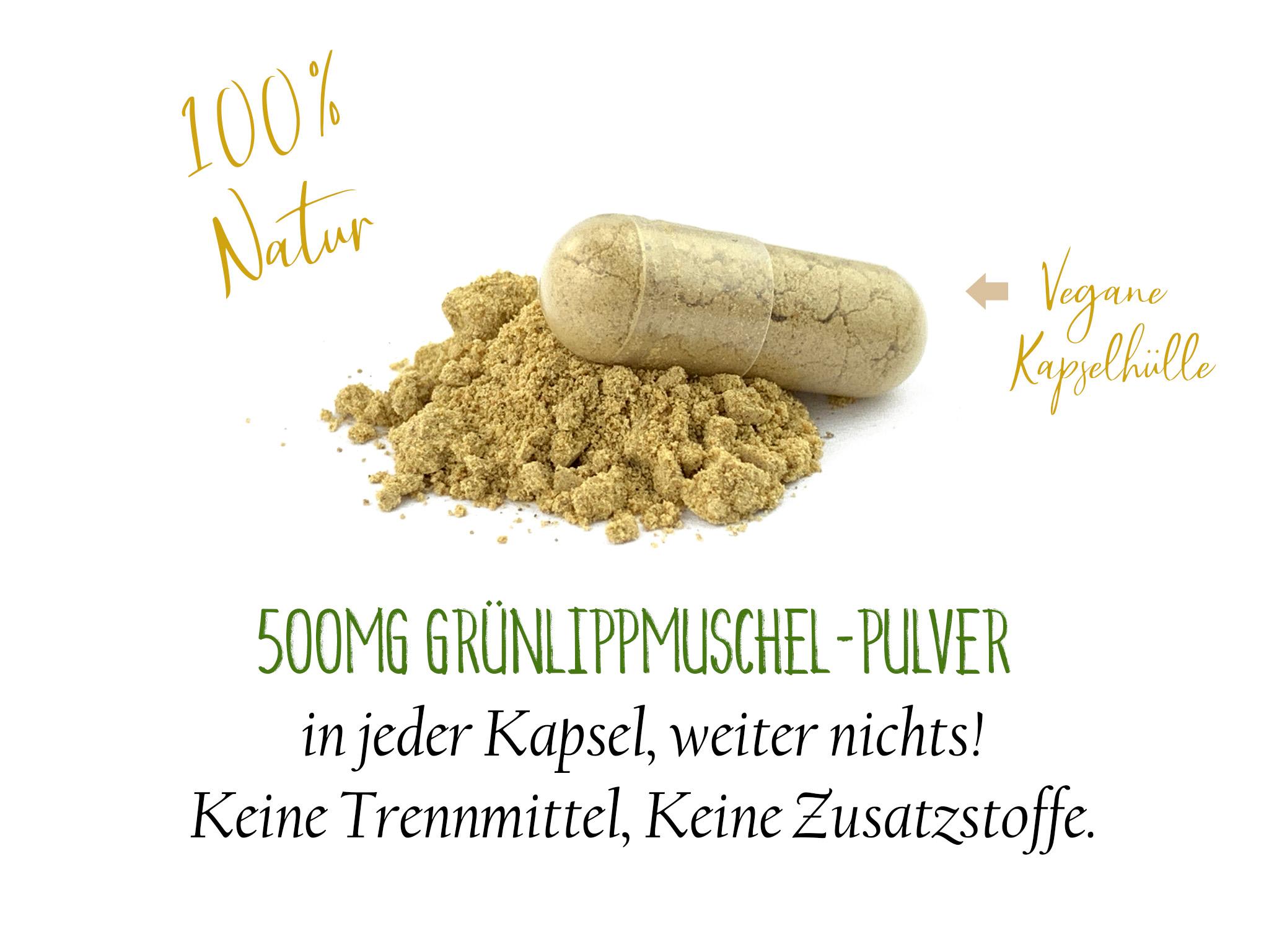 Grünlippmuschel Kapseln 500mg (170 Stück)