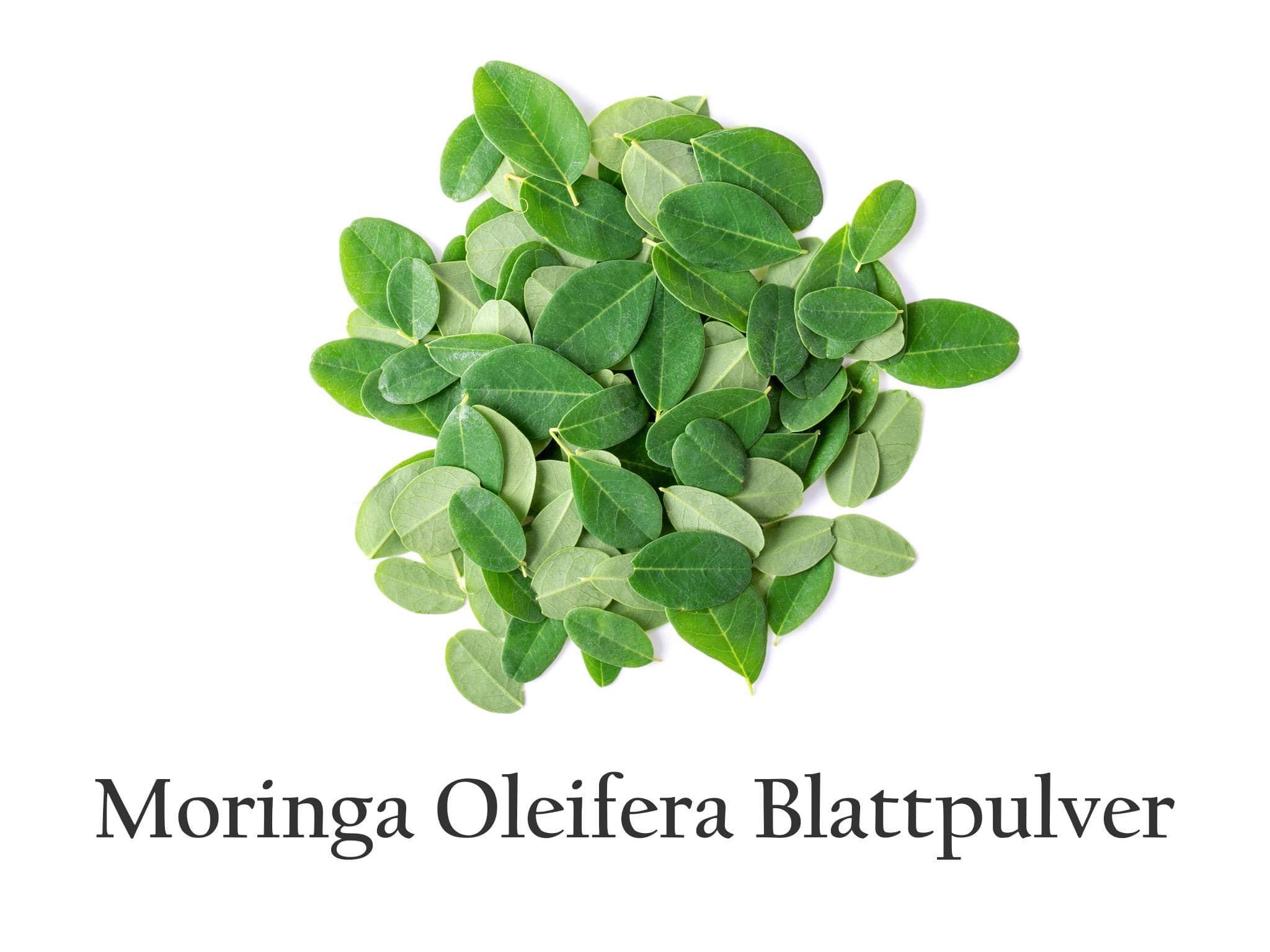 Moringa Oleifera 90 Kapseln - 500mg Moringa Blattpulver - Vegan & Glutenfrei