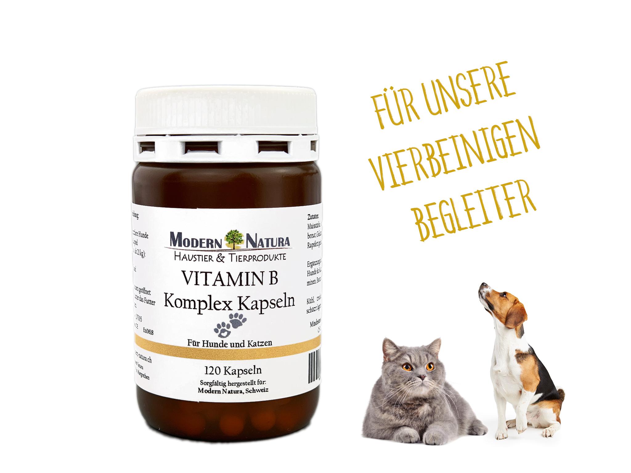 Vitamin B Komplex Hunde Kapseln 120 Stück ModernNatura.ch