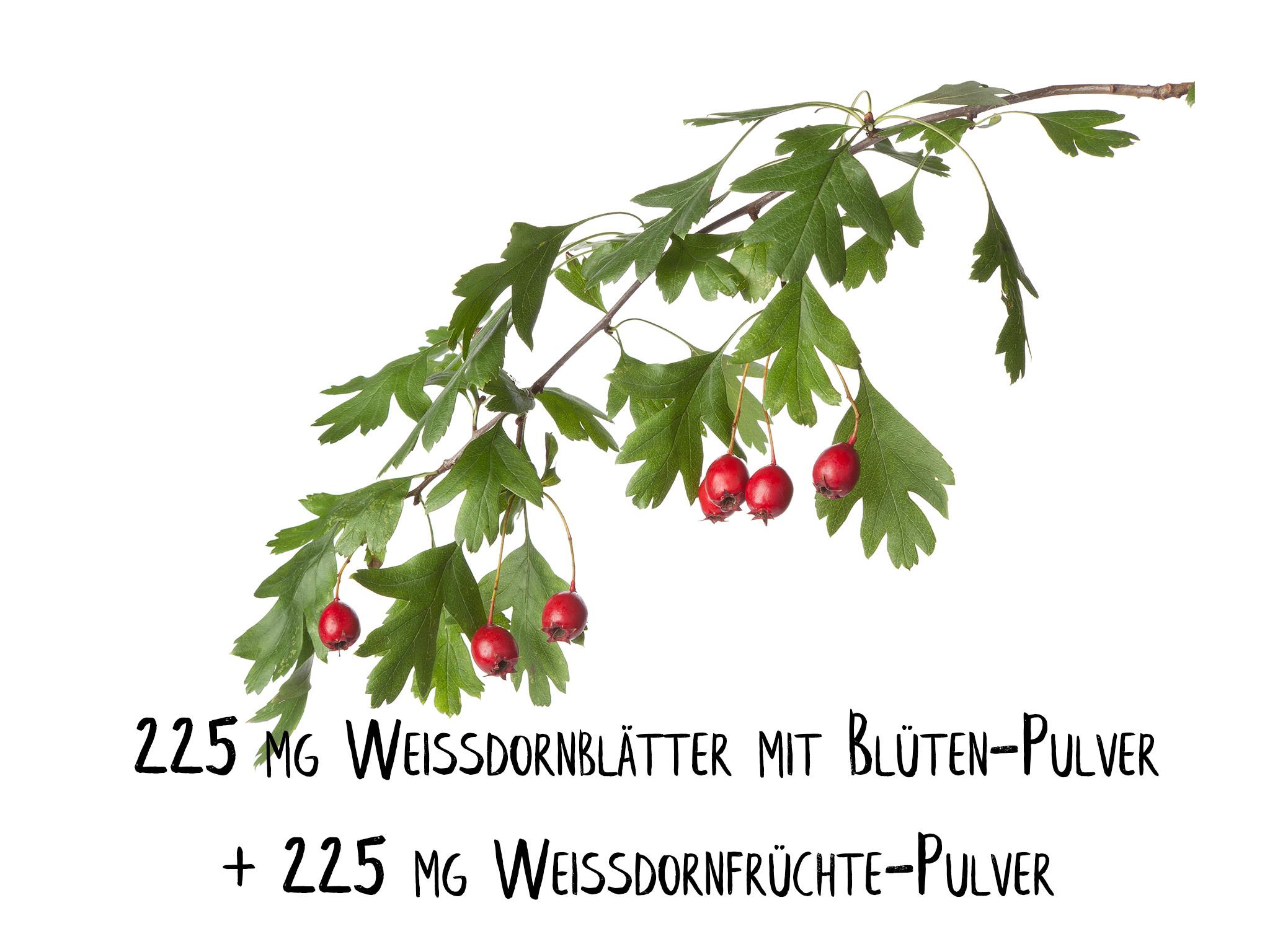 Weissdorn Kapseln (240 Stück)
