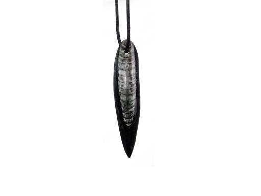 Edler alter Orthocerat