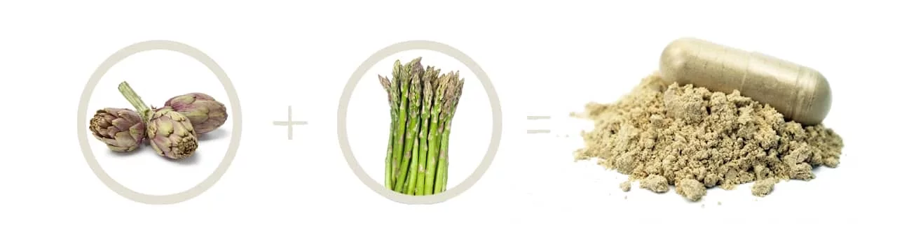Artischocken und grüner Spargel, verbunden durch Plus- und Gleichheitszeichen mit einer Kapsel und hellem Pulver.