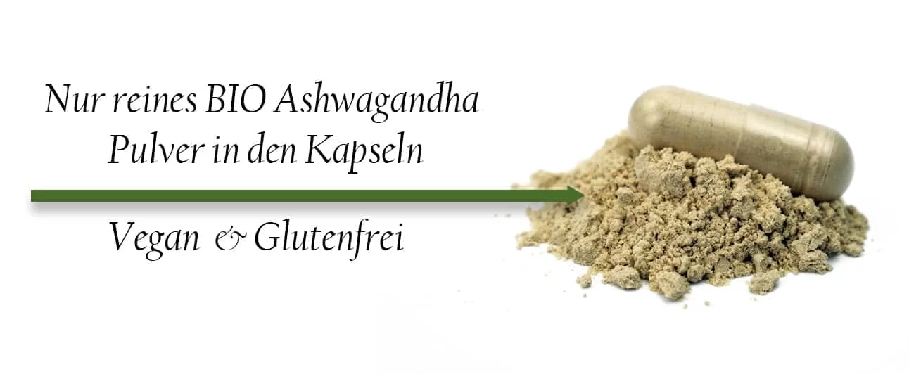 Kapsel mit hellem Ashwagandha-Pulver. Bildtext: Nur reines Bio-Ashwagandha-Pulver in den Kapseln; vegan und glutenfrei.