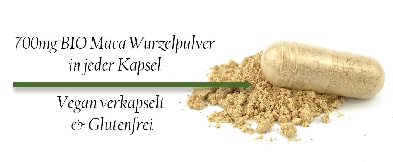 Kapsel mit hellem Maca-Wurzelpulver. Bildtext: 700 mg Bio-Maca-Wurzelpulver je Kapsel; vegan verkapselt und glutenfrei.