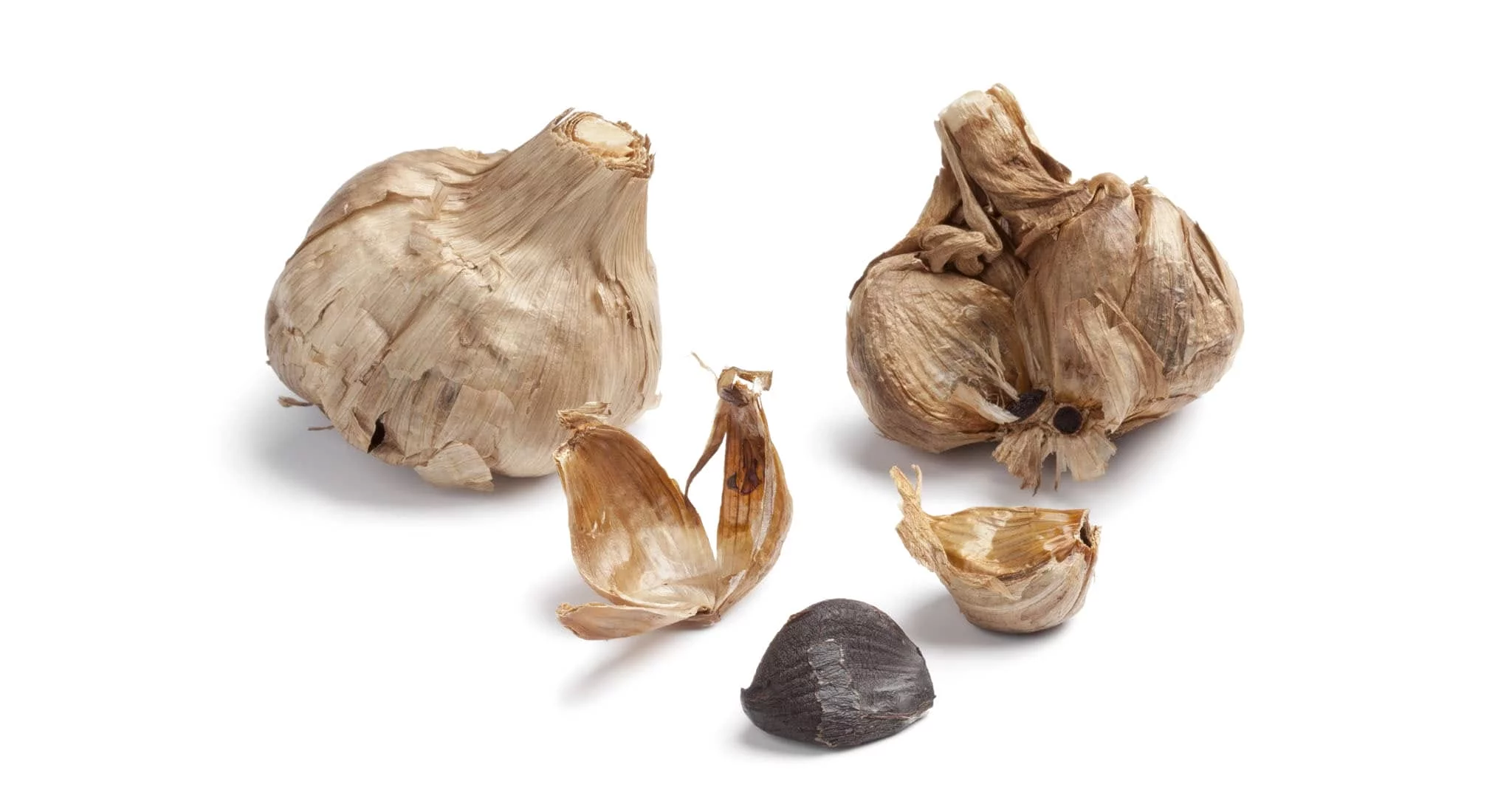 Bulbes d’ail et gousses individuelles, dont une gousse noire pelée, sur fond blanc.
