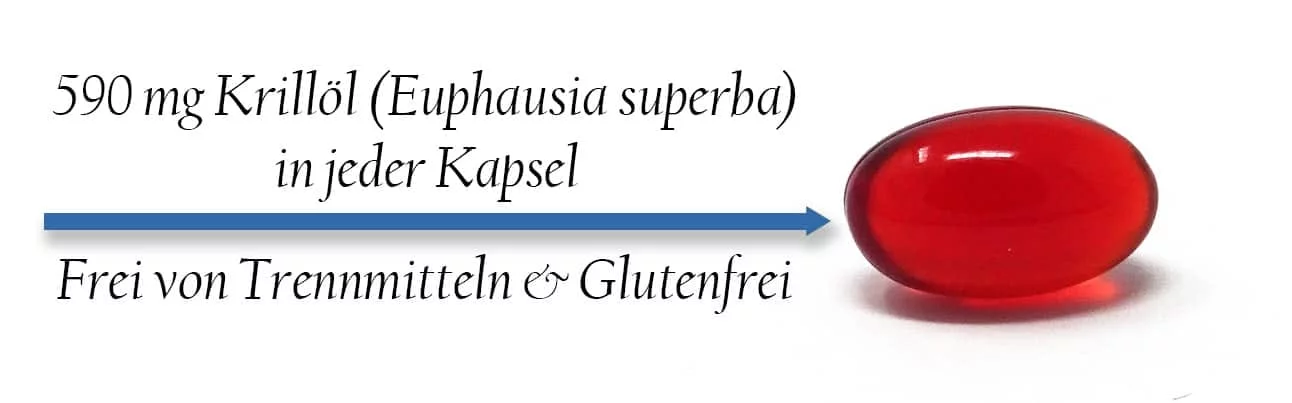 Rote, durchscheinende Krillöl-Kapsel. Bildtext: 590 mg Krillöl (Euphausia superba) je Kapsel; frei von Trennmitteln und glutenfrei.