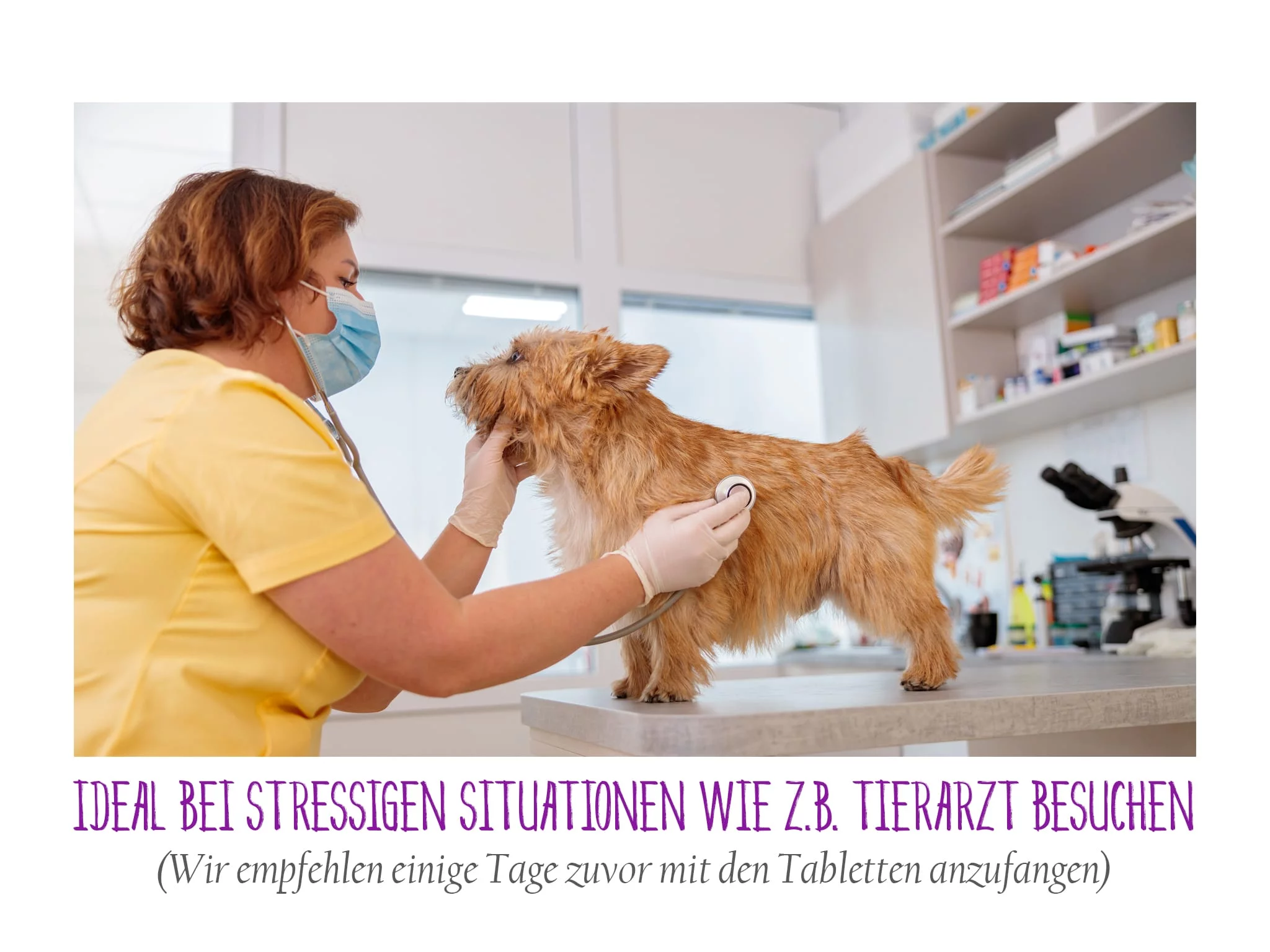 Compresse Anti Stress Cani in una vista prodotto supplementare delle compresse