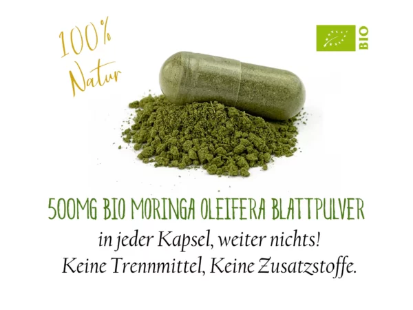 Bio Moringa Oleifera Kapseln, Detailansicht gemäss Dateibezeichnung