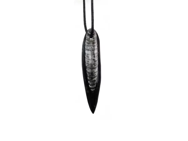 Orthoceras pendant in an elongated black shape with light fossil structure and black necklace