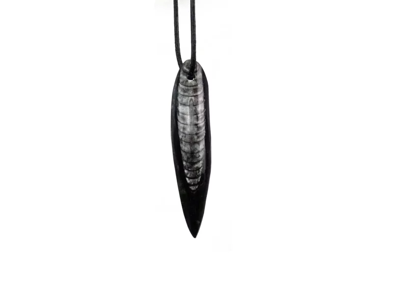 Orthoceras pendant in an elongated black shape with light fossil structure and black necklace