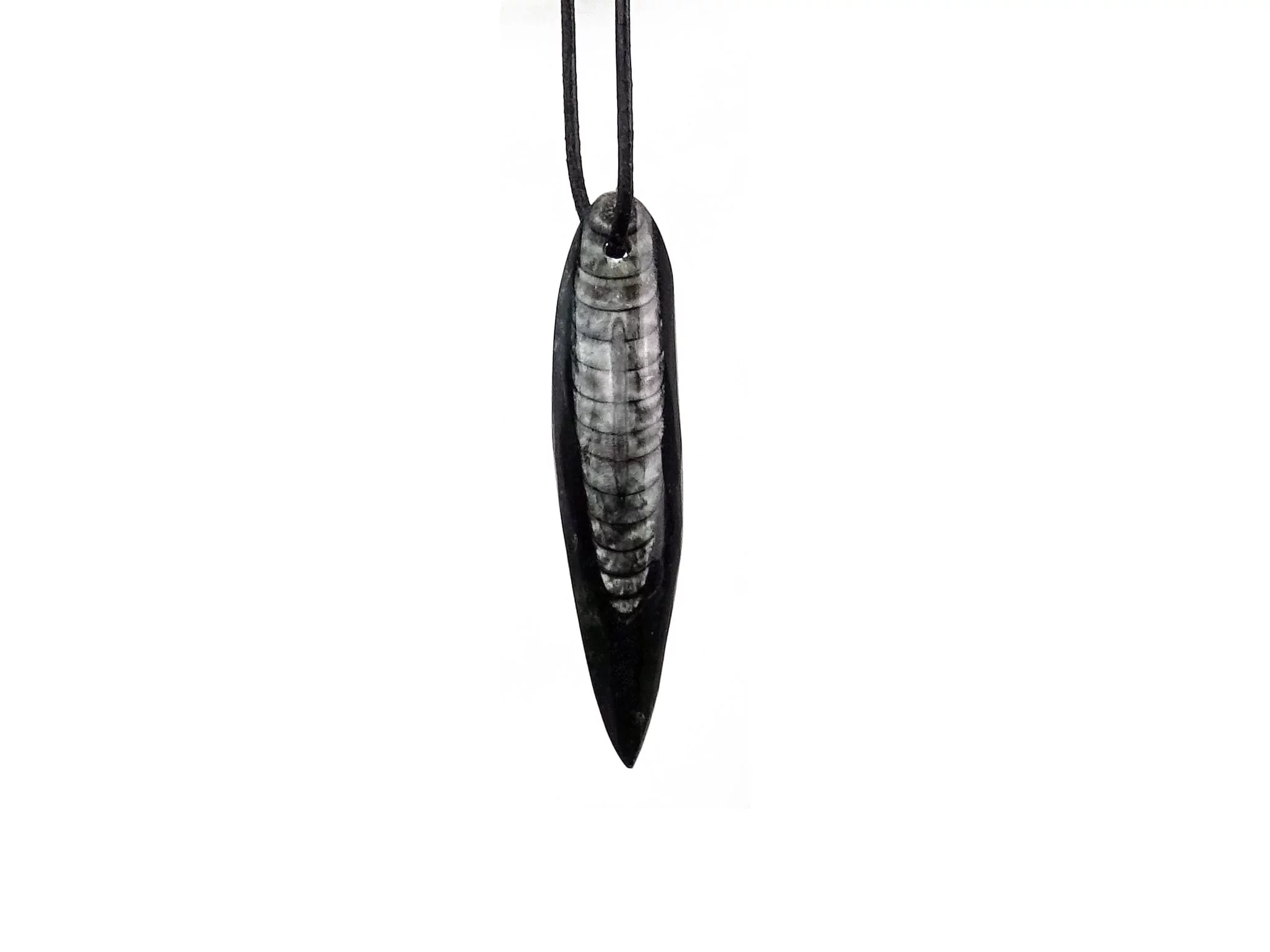 Orthoceras pendant in an elongated black shape with light fossil structure and black necklace
