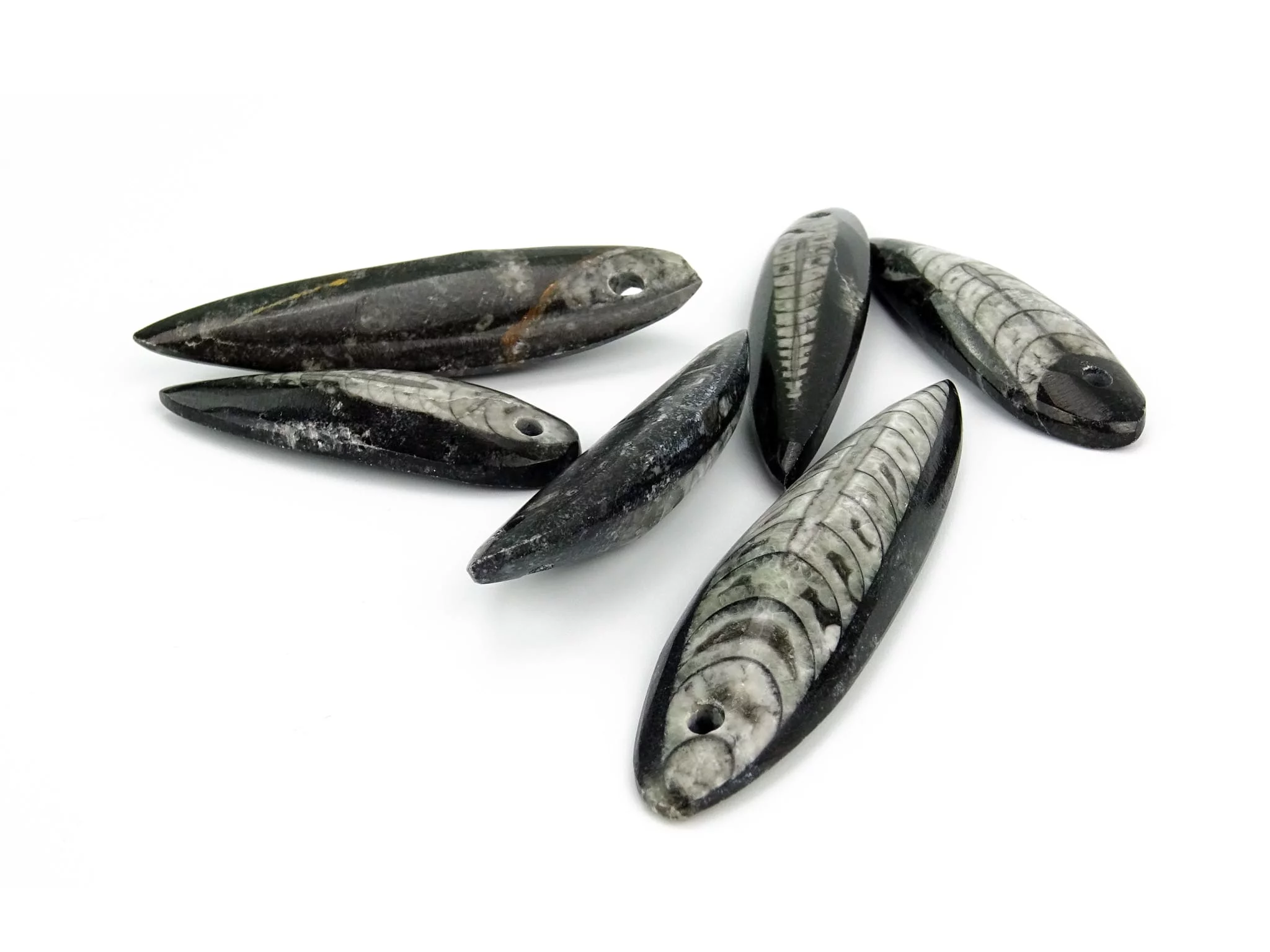 Orthoceras pendant as a selection of polished black fossil stones with varying visible structure