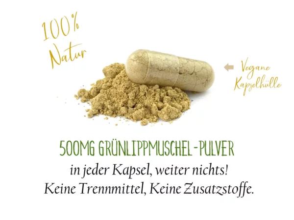 Grünlippmuschel Kapseln mit Hinweis auf Vorratspackung mit drei Gläsern