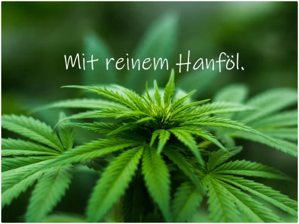 Hemp oil cream for face and body care as a detailed product view