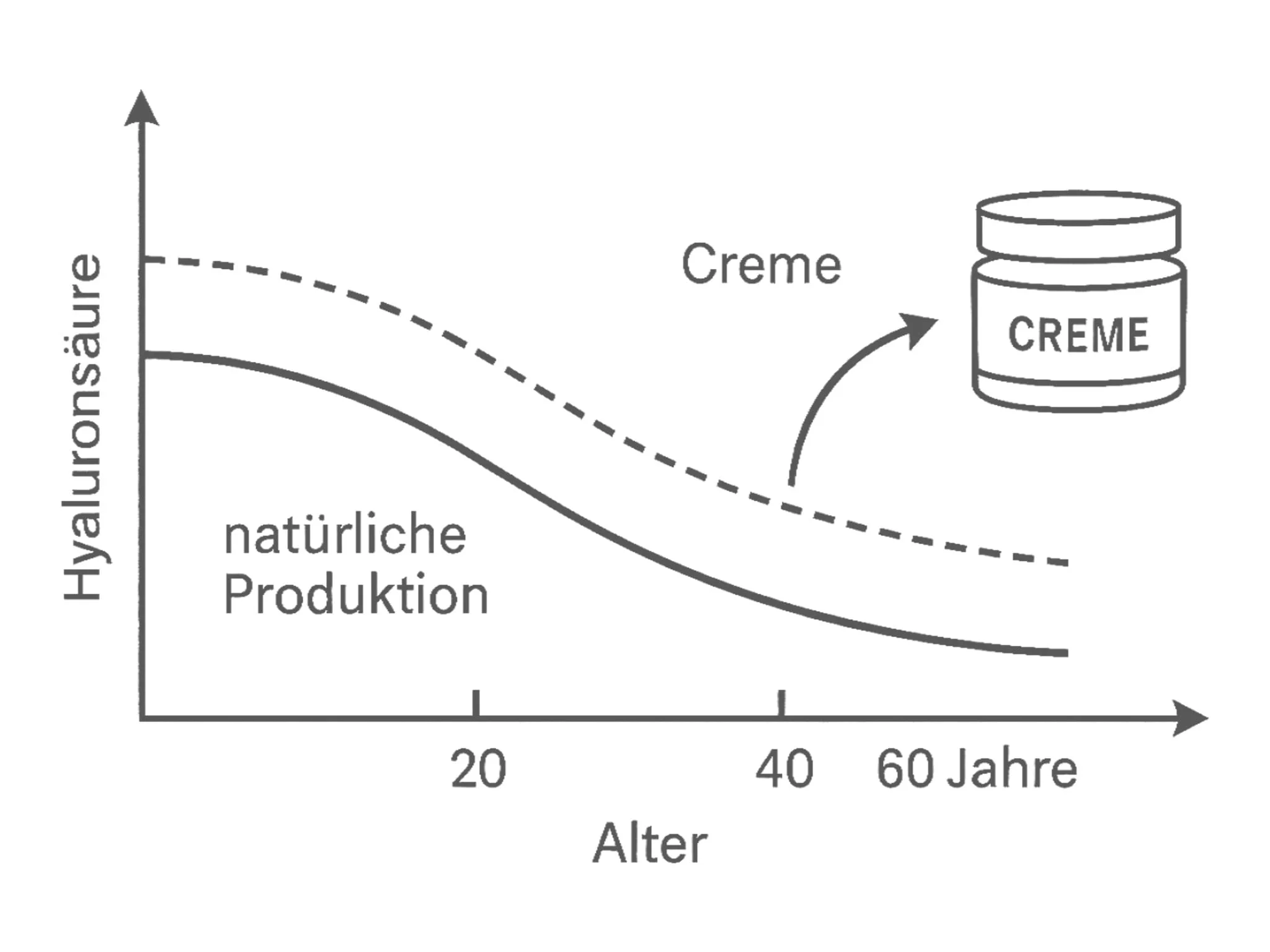 Hyaluron Creme mit grafischer Darstellung zum Hyaluronsäuregehalt im Laufe der Zeit
