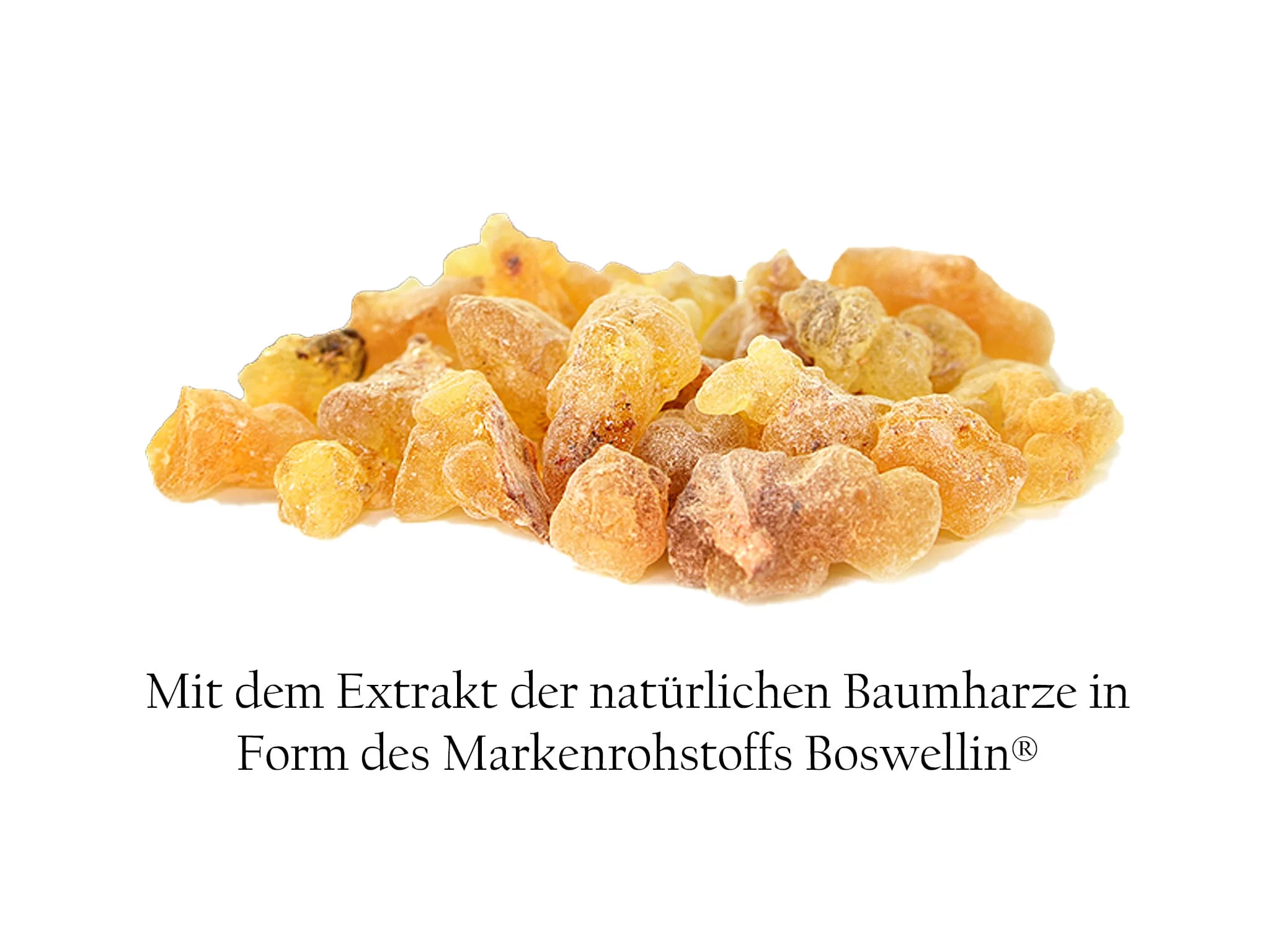 Capsules d’encens indien avec informations sur le Boswellia serrata et les acides boswelliques