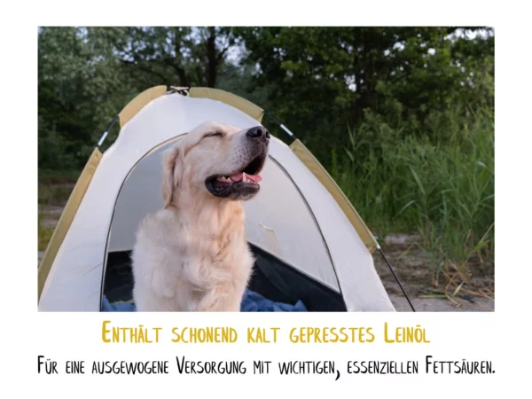 Omega 3-6-9 Leinöl Hunde Kapseln mit goldenem Hund vor einem Zelt im Grünen