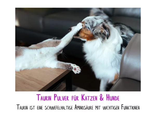 Taurin Pulver für Hunde und Katzen mit Katze und Hund in einer Wohnraumszene als Anwendungsmotiv