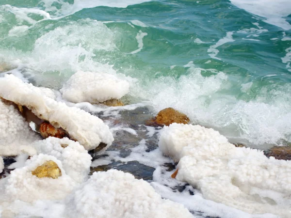 Totes Meer Salz Creme mit weissen Salzkristallen auf Felsen am türkisfarbenen Wasser