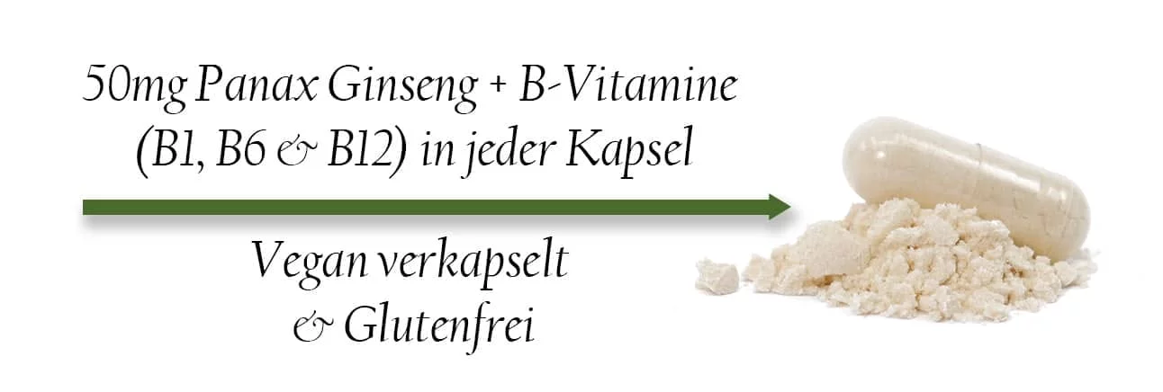 Kapsel mit hellem Pulver. Bildtext: 50 mg Panax Ginseng und B-Vitamine B1, B6 und B12 je Kapsel; vegan verkapselt und glutenfrei.
